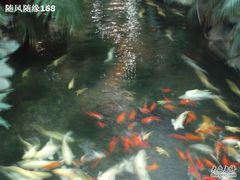 -绿色时代大酒店