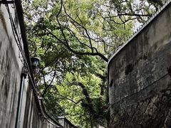 -福道