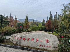 -习家池