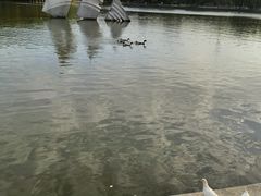 -上海交通大学(闵行校区)