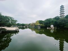 -江心屿景区