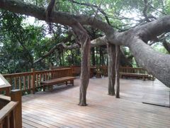 -青芝山风景名胜区