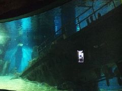 景点-福州罗源湾海洋世界旅游区