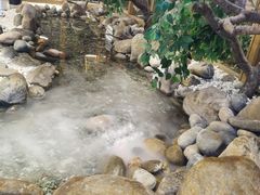 -生如夏花泰式火锅(鹭洲里店)