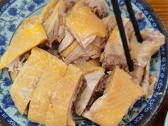 -九斤黄三黄鸡专卖店