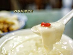 -西月城谭豆花(春熙路店)