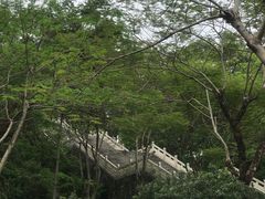 -红花山公园