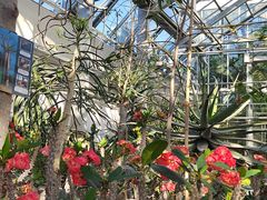 -国家植物园南园