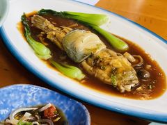 -天正河鲀·河豚亭(大连店)