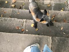 -九鼎铁刹山风景区