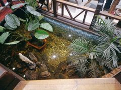 -大宝全猪馆(南京路店)