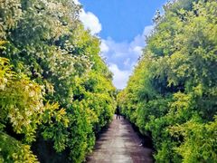 -金谷域澳洲庄园