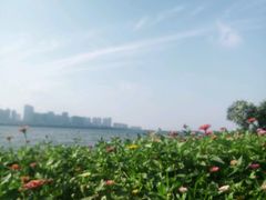 -艾溪湖湿地公园