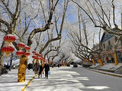 -鲍师傅糕点(八一馆店)