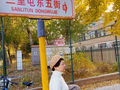 -三里屯东五街银杏大道