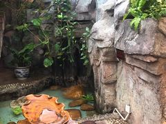 -勝記酒家·37年老字号·经典粤菜(荔枝公园店)
