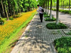 -上海长兴岛郊野公园