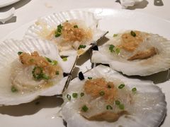 扇贝-新海利海鲜城·41年珠海老字号(夏湾店)