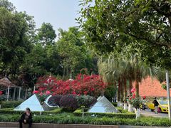 -重庆西南医院(西南院区)