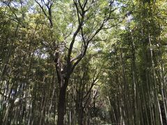 -唐城墙遗址公园
