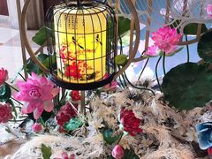 -七彩阳光游泳俱乐部(江北远洲店)