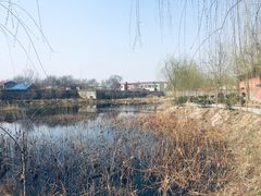 -宋太祖黄袍加身处文管所