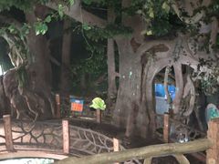 -苏州海洋馆
