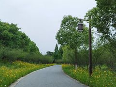 -苏州太湖国家湿地公园