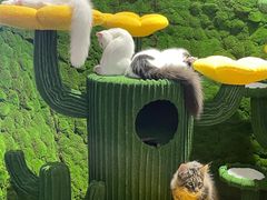 -人民广场-地下停车场