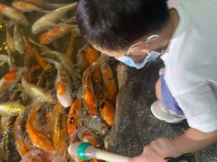 -泉城欧乐堡海洋极地世界