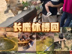 -长鹿旅游休博园