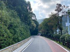 -桃花岭景区