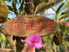 -呀路古热带植物园