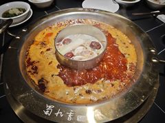 -蜀九香火锅(彩虹店)
