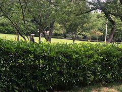 -虹之森·小馆