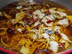 -雲蜀龙阁·金牌水煮鱼(方庄店)