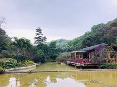 -云溪植物园