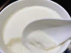 姜汁双皮奶-正斗·港式粤菜(SKLP店)