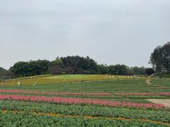 -保利石象湖景区