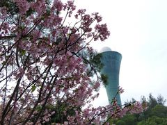 -狐尾山公园