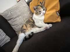 -隅cafe(傅厚岗店)