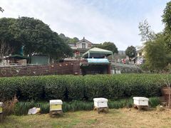 -自在弥林花园餐厅(云栖店)