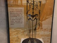 -天津自然博物馆