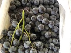 -五里店果蔬批发市场