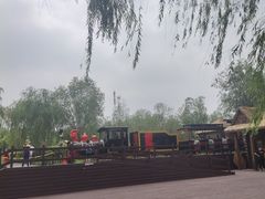 -西青郊野公园