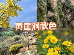 -黄崖洞文化旅游区
