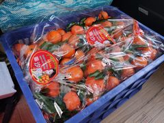 -胡家庙水果批发市场