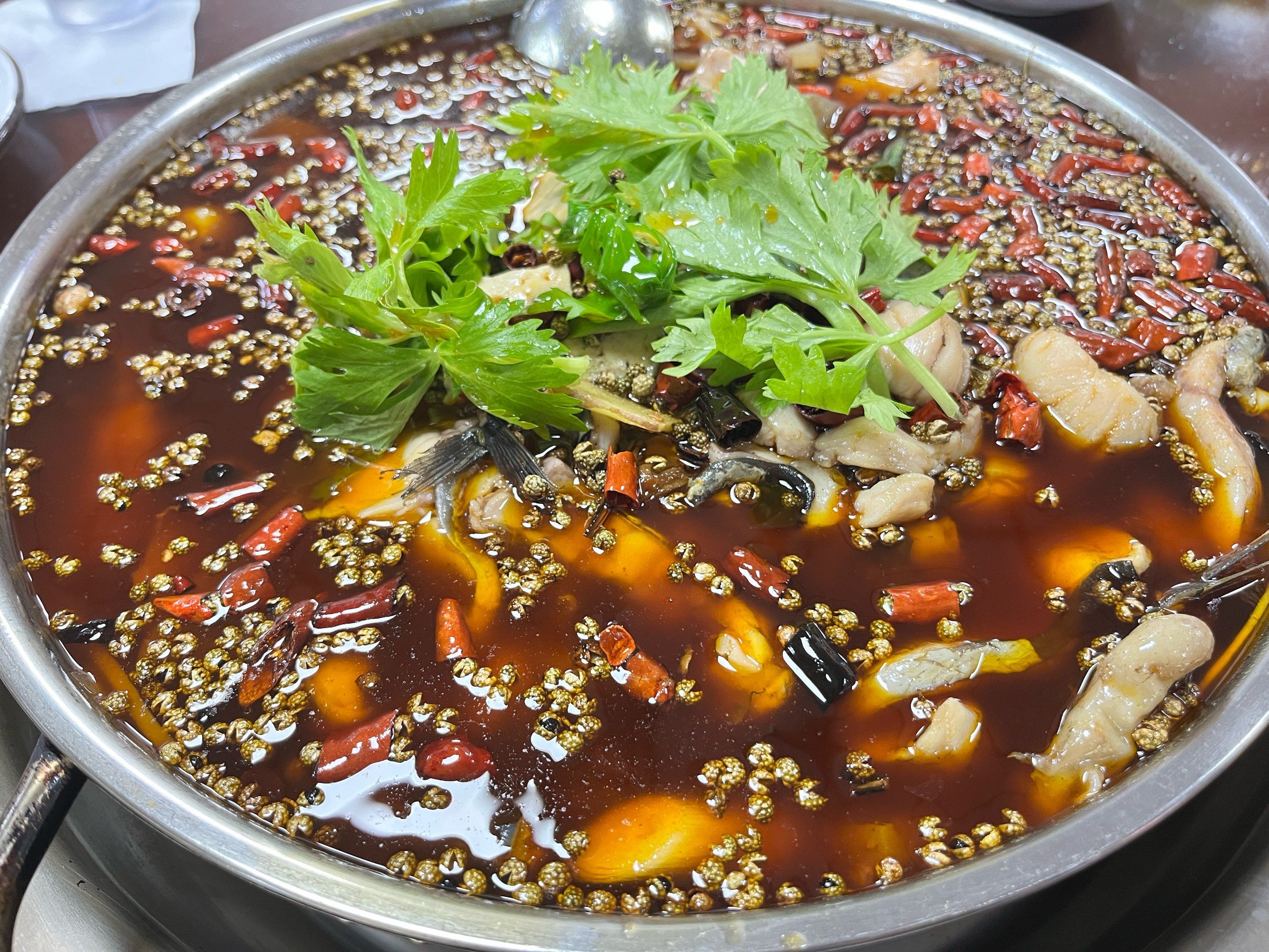 兄弟梭边鱼: 成都火锅鱼好去处!