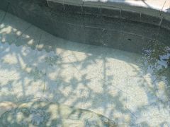 -太白山御龙湾温泉