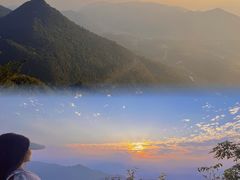 -武陵山森林公园